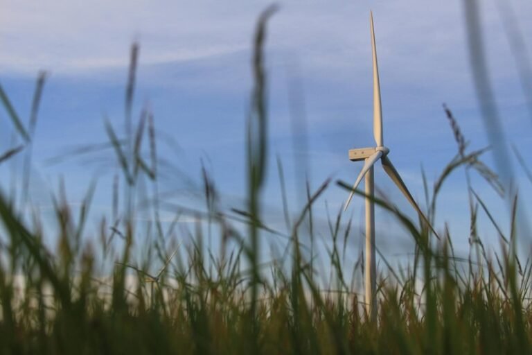 digital solutions for growth